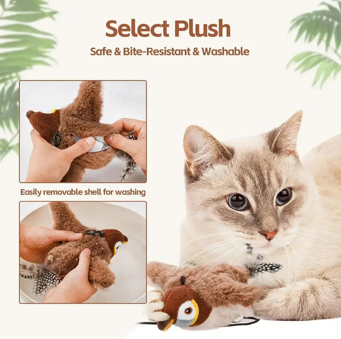 Bird Chase - For Cats