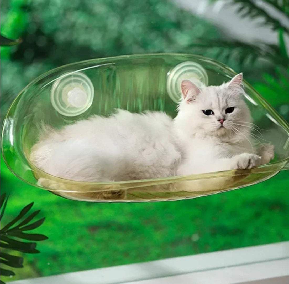 Cat Window Perch