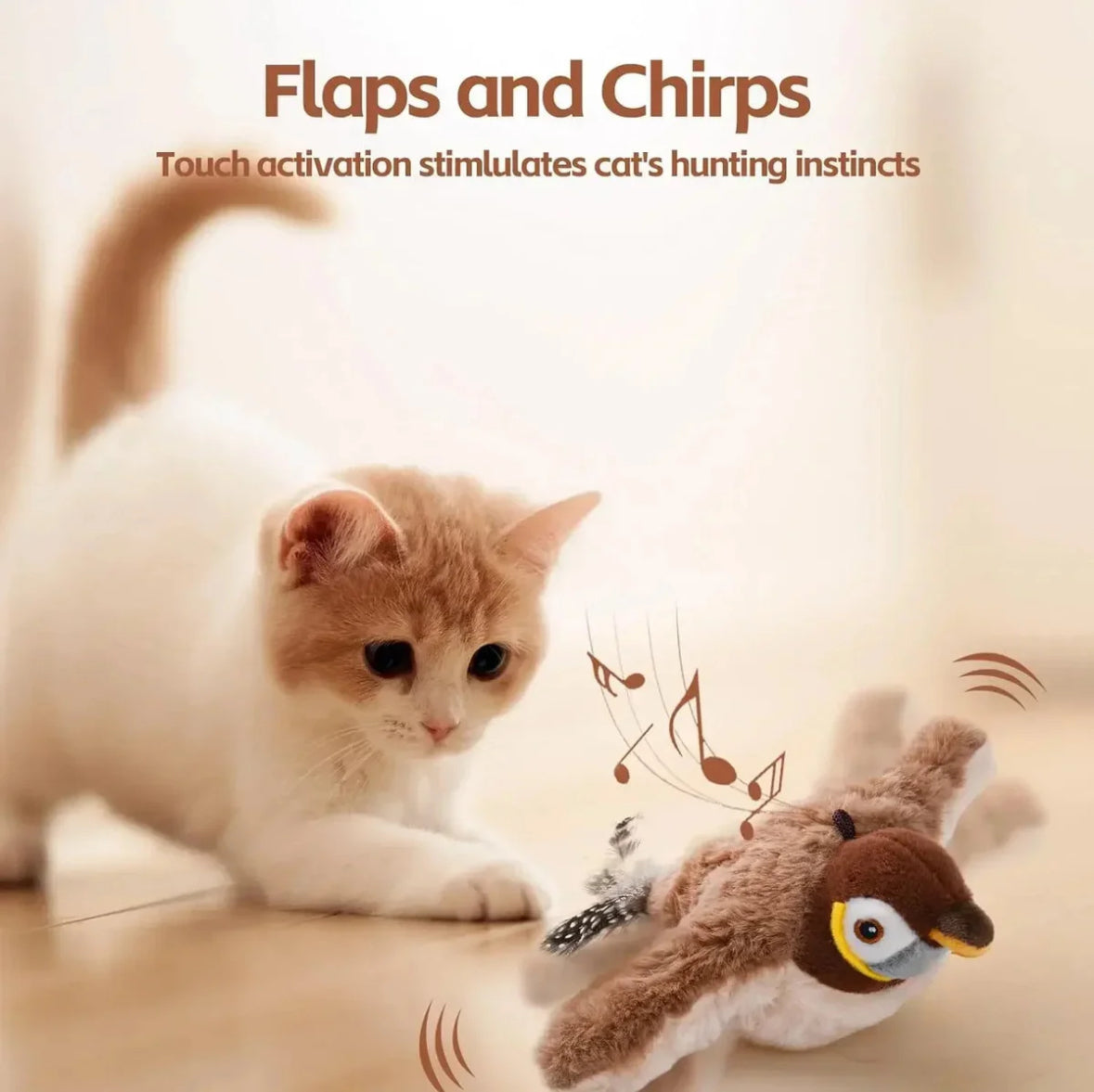 Bird Chase - For Cats
