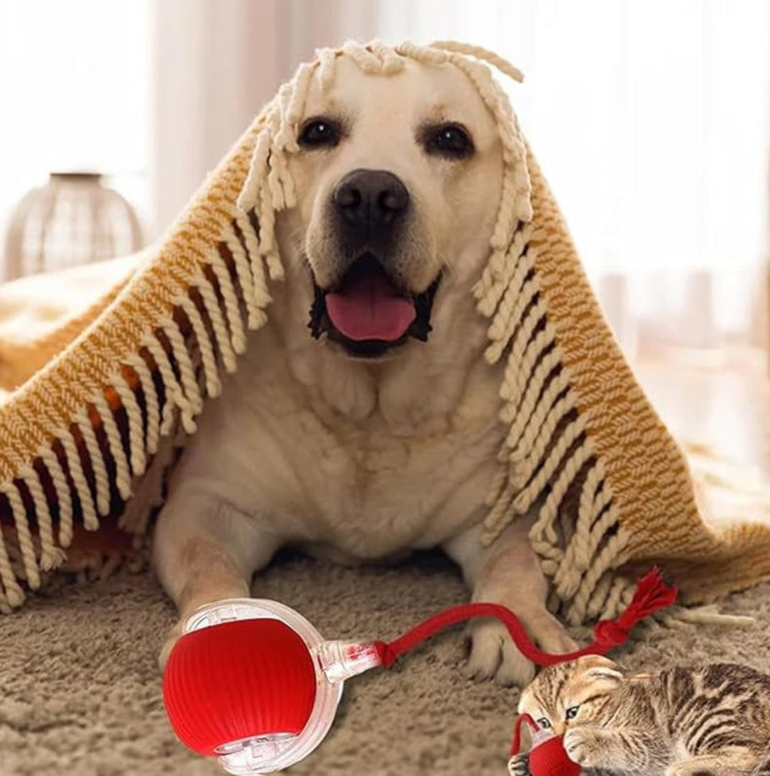 Smart Automatic Rolling Pet Ball