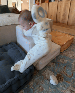Baby Head Protector