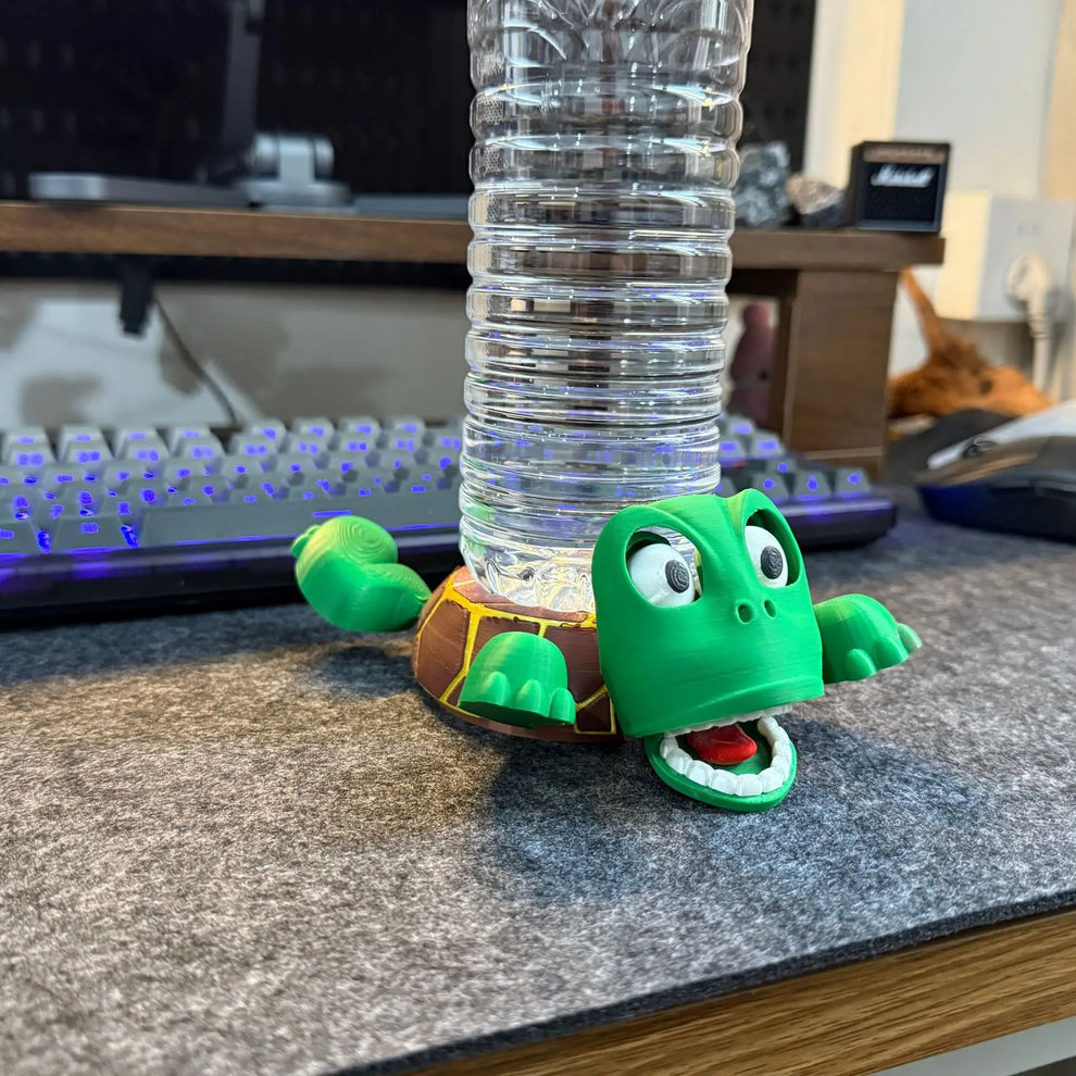 Funny Turtle coaster