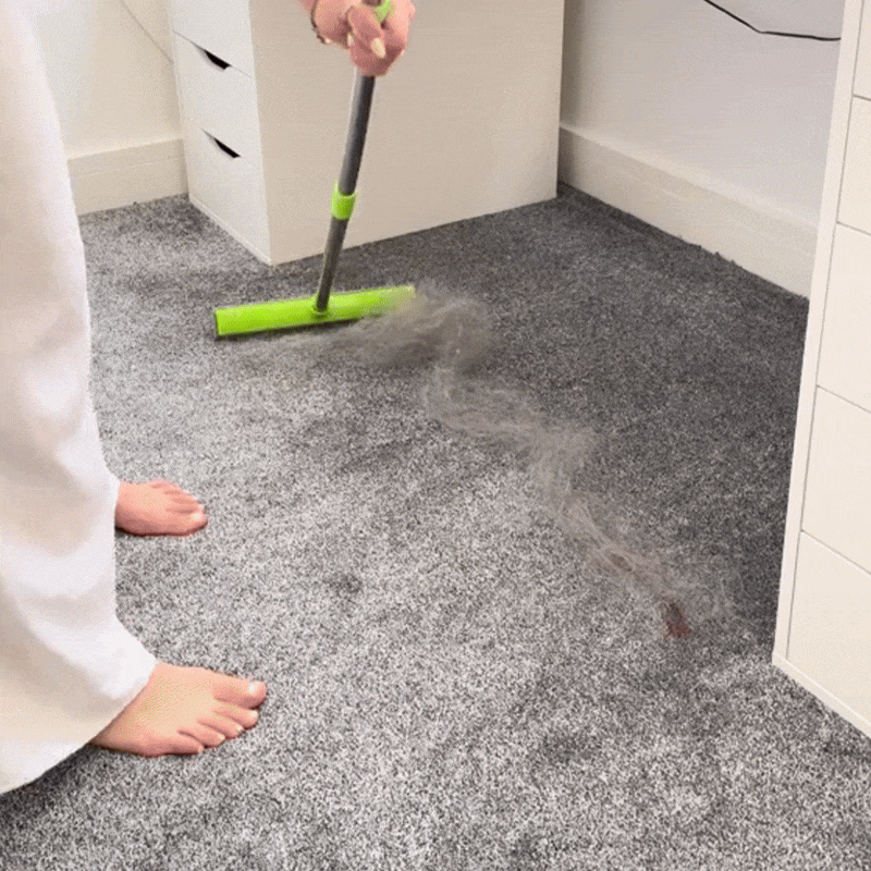 Hair Removal Broom
