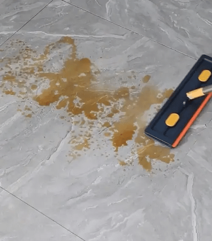 Multi-Functional Mop