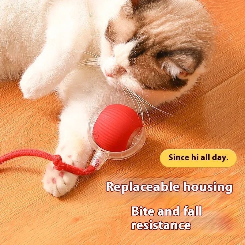 Smart Automatic Rolling Pet Ball