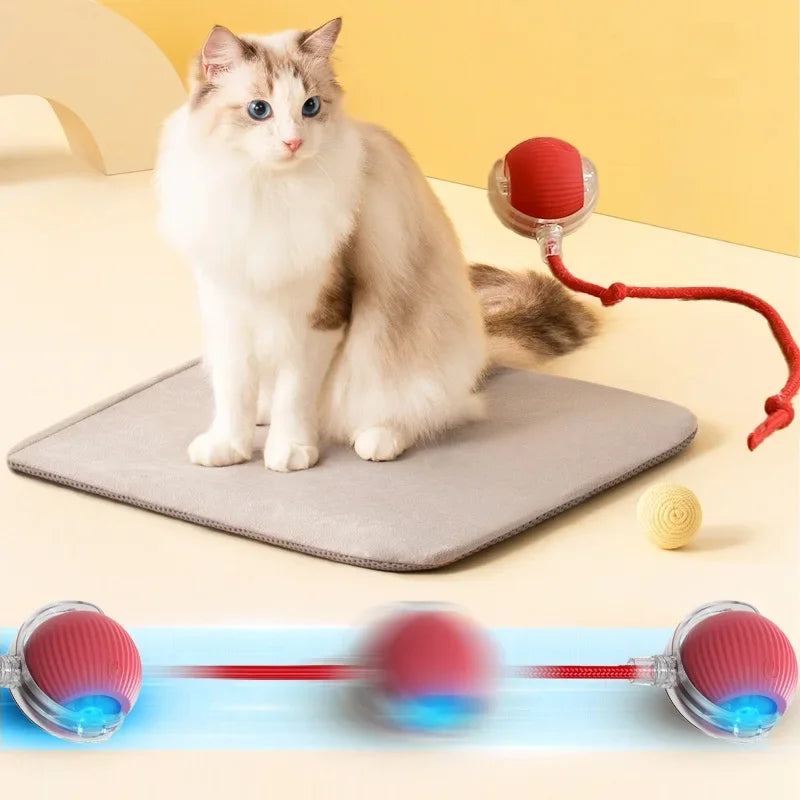 Smart Automatic Rolling Pet Ball