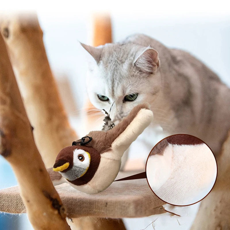 Bird Chase - For Cats