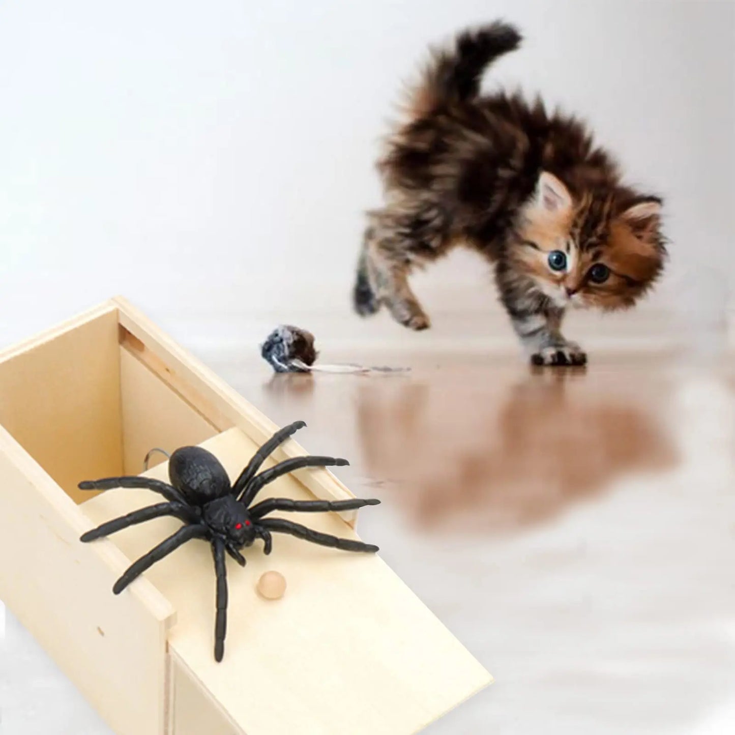 Spider Scare Prank Box
