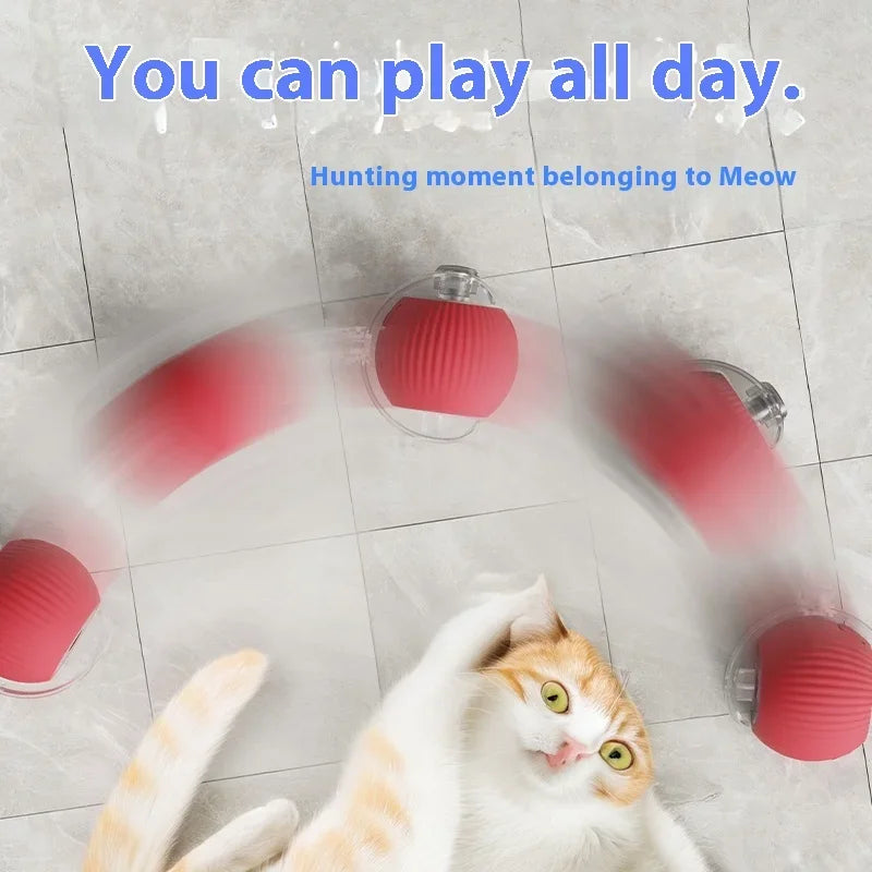Smart Automatic Rolling Pet Ball