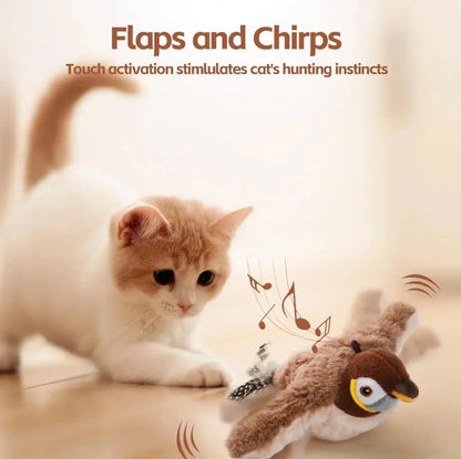Bird Chase - For Cats
