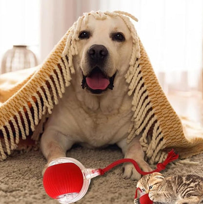 Smart Automatic Rolling Pet Ball