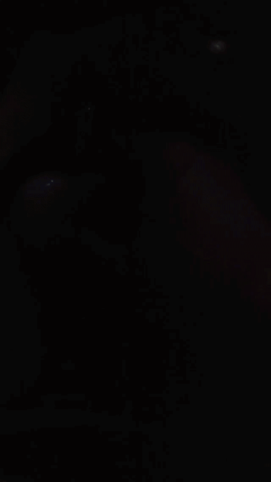 PurseLamp