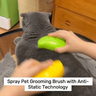 Steamy Brush pet cleaner 3-in-1