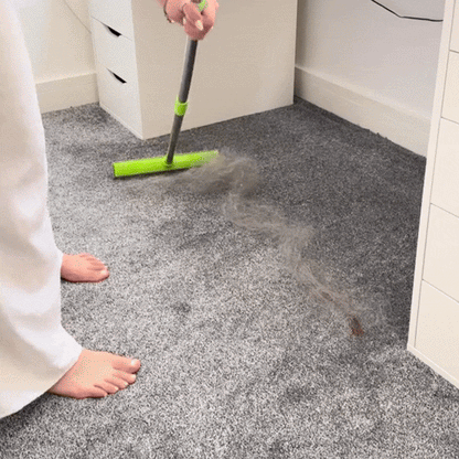 Hair Removal Broom