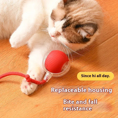 Smart Automatic Rolling Pet Ball