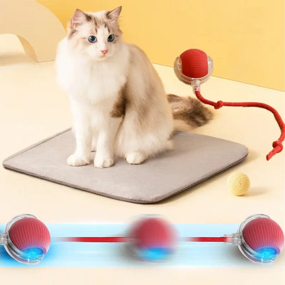 Smart Automatic Rolling Pet Ball