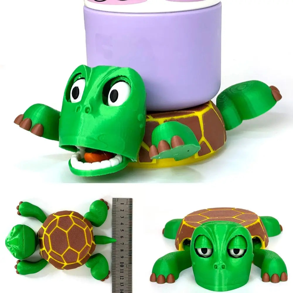 Funny Turtle coaster
