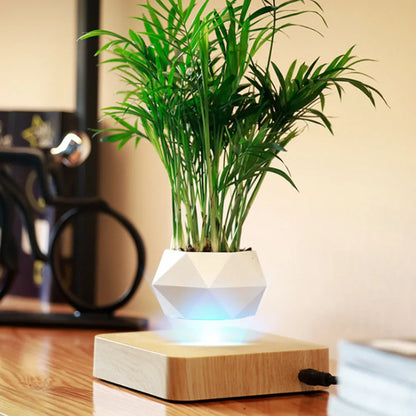 Levitating plant Pot