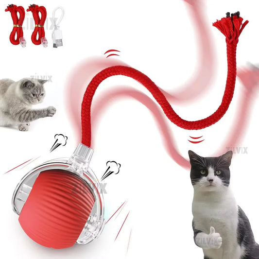 Smart Automatic Rolling Pet Ball